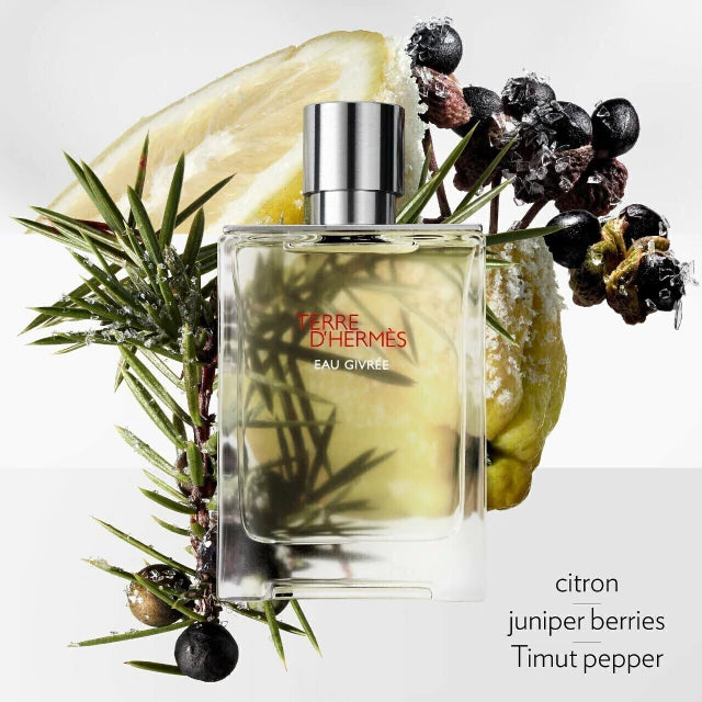 Miniatura Perfume Original Terre D'Hermès 5 ml