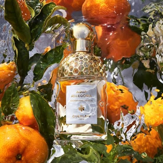 Miniatura Perfume Aqua Allegoria Guerlain Mandarine Basilic 7,5 ml