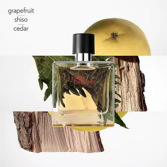 Miniatura Perfume Original Terre D'Hermès 5 ml