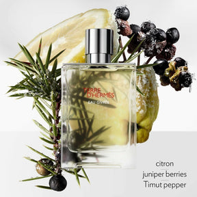 Miniatura Perfume Original Terre D'Hermès 5 ml